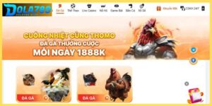 Đá gà Dola789 xem live trận đấu từ trường gà quốc tế