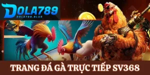 trang da ga truc tiep